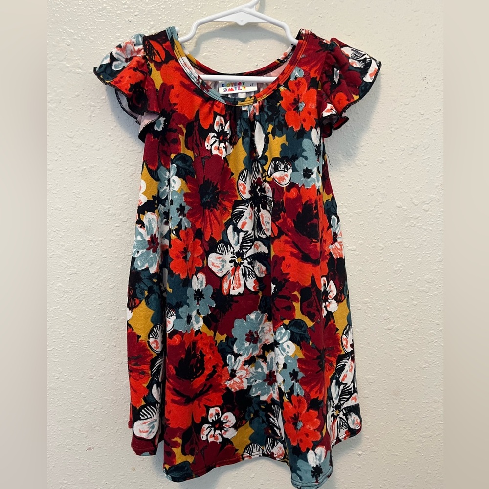 Dot Dot Smile Size 2T Swing Dress